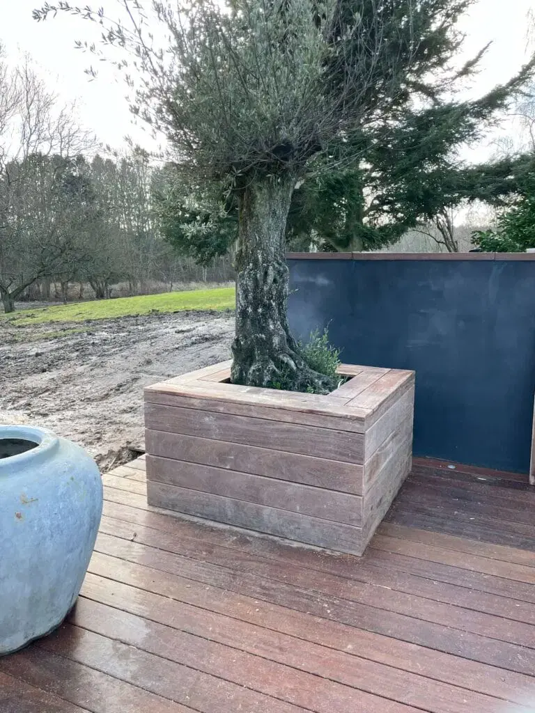 Plantekasse af træ med oliventræ på en terrasse